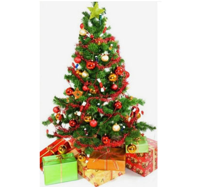 Christmas  Tree